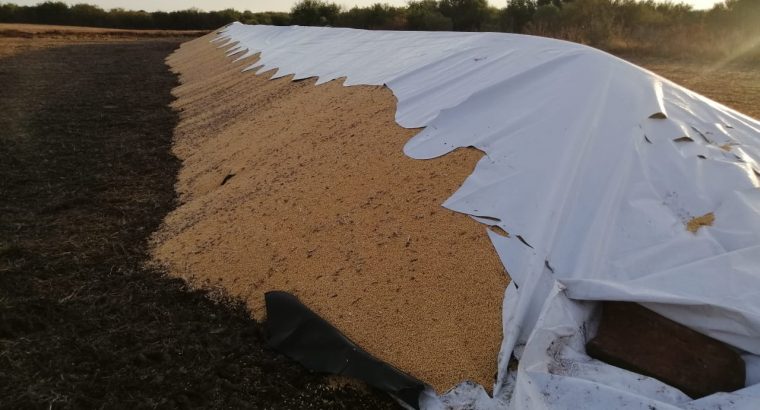 Ataque a silobolsas en un campo de Entre Ríos