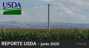 Informe mensual del USDA