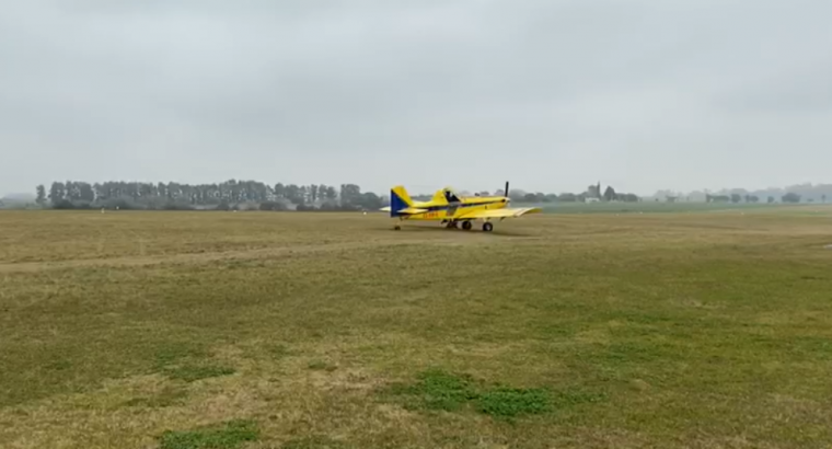 Langostas: Se realizó un vuelo de reconocimiento