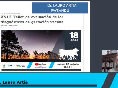 XVIII Taller de evaluación de los diagnósticos de gestación vacuna