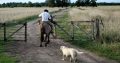 Se ofrece persona para trabajo de campo