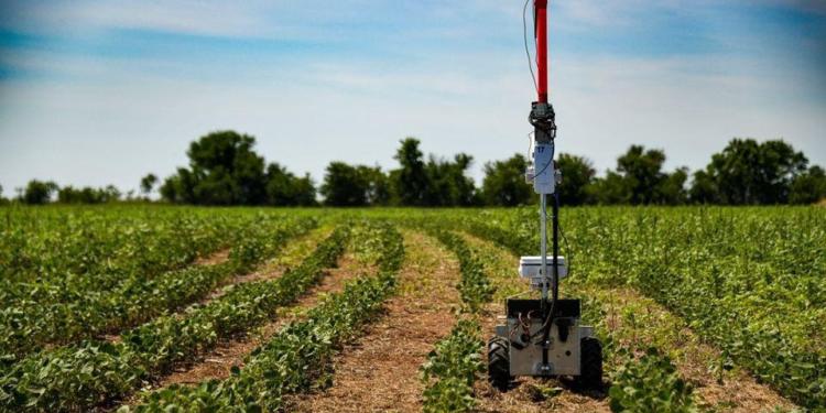 Los robots de uso agrícola ya son una realidad