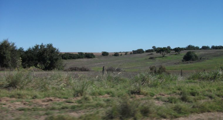 Llamado a tierras del Instituto Nacional de Colonización