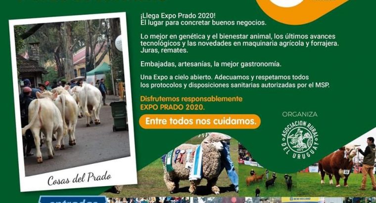 Medidas sanitarias sugeridas para Expo Prado