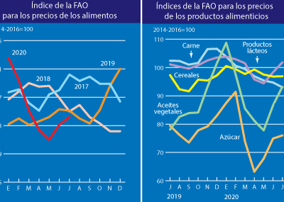 Índice de Precios de  Alimentos sube en Julio