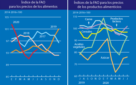 Índice de Precios de  Alimentos sube en Julio