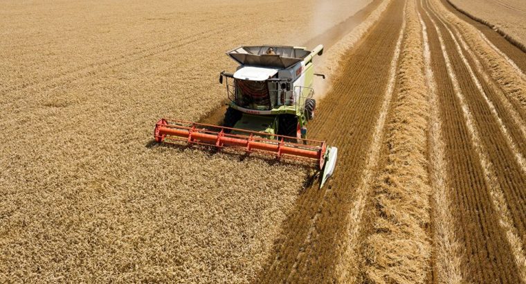 Criadores rusos preocupados por subas de los cereales