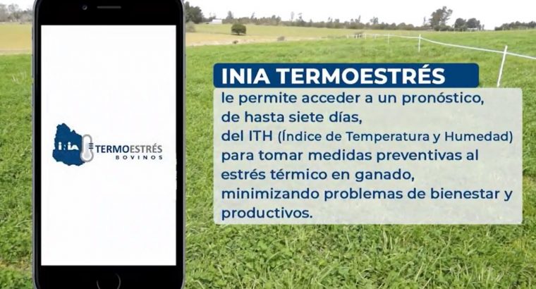 INIA lanzó la aplicación móvil “INIA Termoestrés”