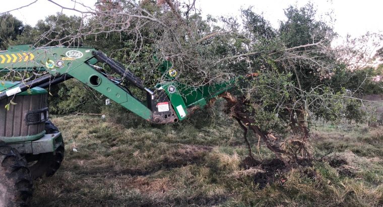 Mordaza Extractora de Arboles