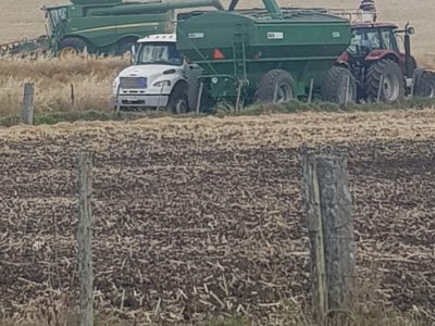 Extremar cuidados para evitar contaminación de la cosecha