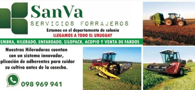 Servicios Forrajeros