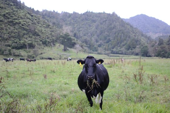 Nueva Zelanda tienen la huella de carbono más baja