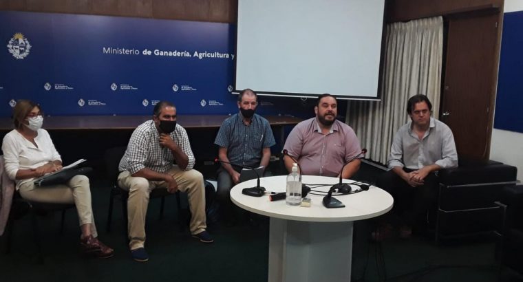 Apicultores uruguayos podrán exportar propóleo en bruto