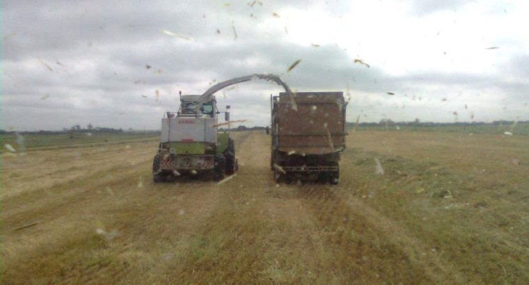 Las cinco fases para hacer un silo de calidad