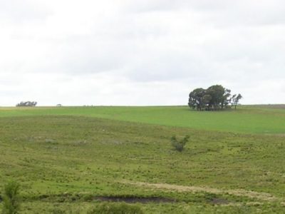 Encuentro virtual Plan Agropecuario