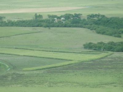 Autoridades del MGAP se reunieron con expertos en riego del INIA