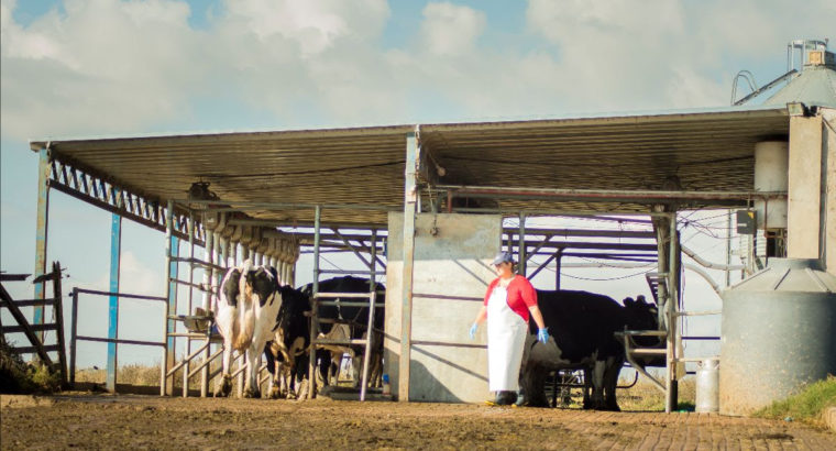 Cómo registrarse y obtener los beneficios de UTE