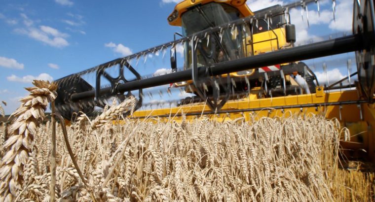 Argentina Quiere Un Nuevo Récord De Producción De Trigo Agroavisos 2822