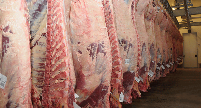 Se rehabilitaron dos Frigoríficos para exportar carne bovina sin hueso a EEUU