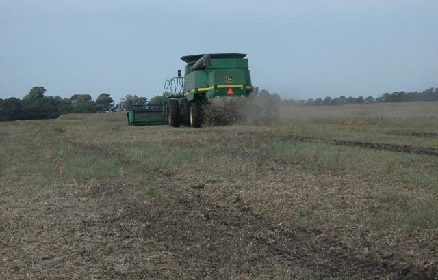 El agro ratifica su recuperación mientras cae el PBI