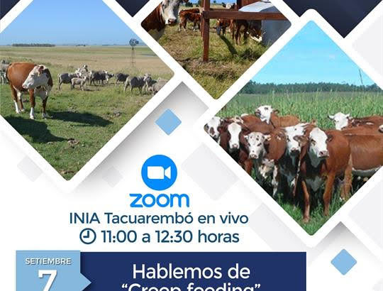 Hablemos de “creep feeding” Un ida y vuelta con INIA