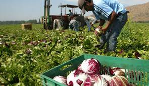 Colaboración en combustible a pequeños productores de San José