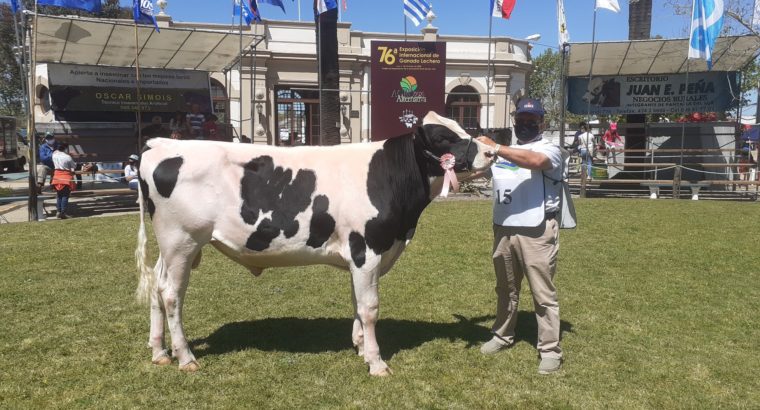 77ª Exposión Internacionl de Ganado Lechero en San José