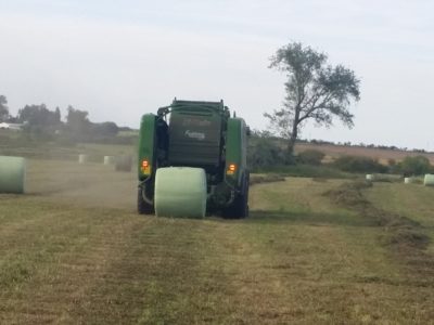 Empresa de Rosario ganó el Proyecto Circular de ANDE