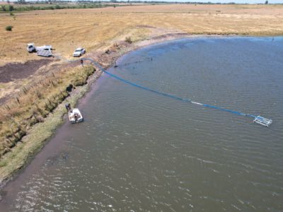 Proyecto piloto ganadero busca generar resultados