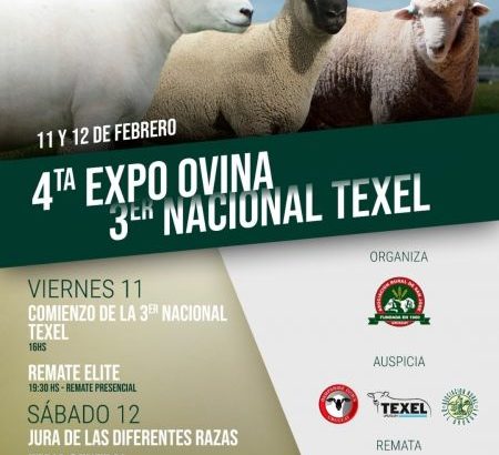 4ª  Expo Ovina y Expo Nacional Texel