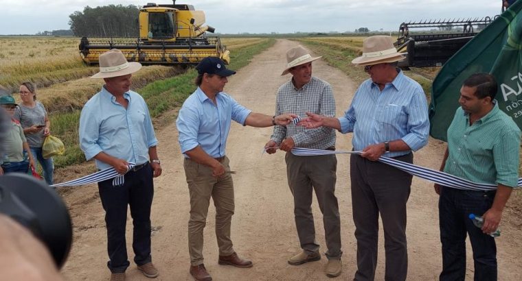 Inauguración de la Cosecha de Arroz 2022