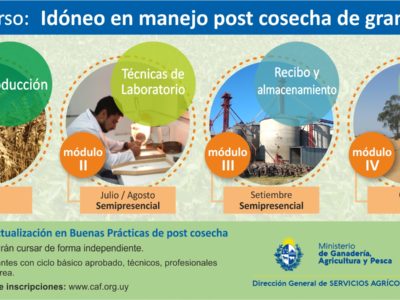 Curso: Idóneo en Manejo post Cosechas de Granos