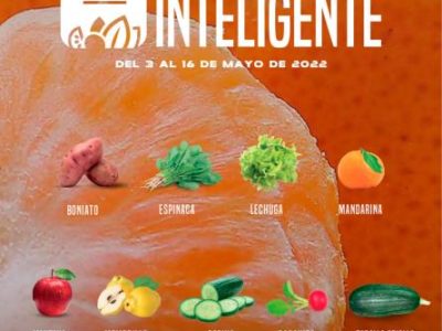 Alimentación saludable con  frutas y hortalizas