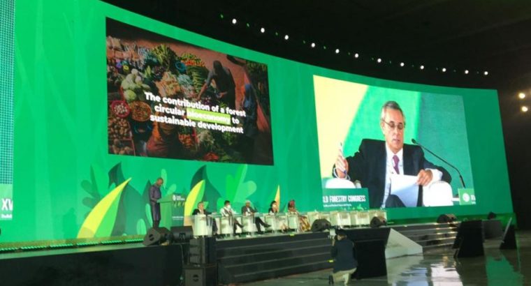 Director general Forestal participó del Congreso Forestal Mundial