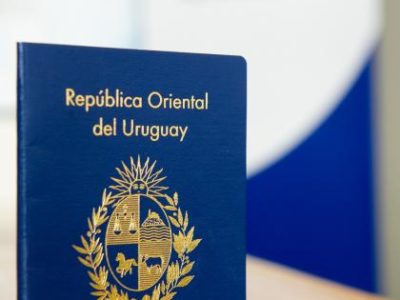 Nuevo pasaporte único para caballos