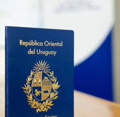 Nuevo pasaporte único para caballos