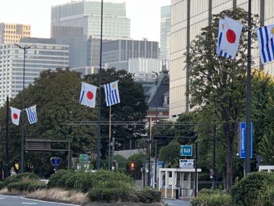 Habilitación del ingreso de lenguas bovinas a Japón