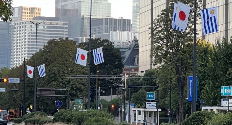 Habilitación del ingreso de lenguas bovinas a Japón