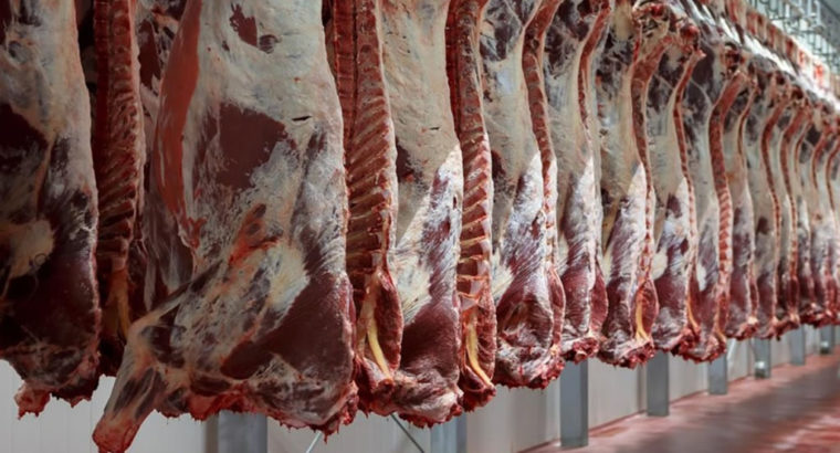 Carnes argentinas:esperan precios  inferiores para el 2023