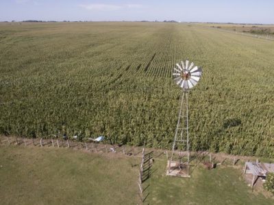 Proyecto mejora de seguros agrícolas