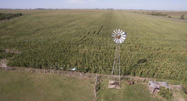 Proyecto mejora de seguros agrícolas