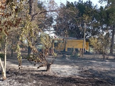 Situación de riesgo actual y medidas aplicadas ante incendios forestales