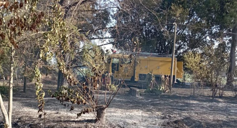 Situación de riesgo actual y medidas aplicadas ante incendios forestales