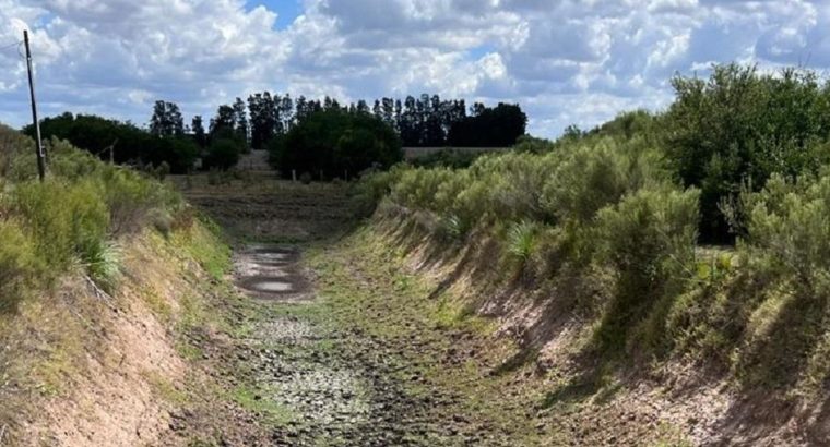 MGAP extiende emergencia agropecuaria por 90 días para todo el país