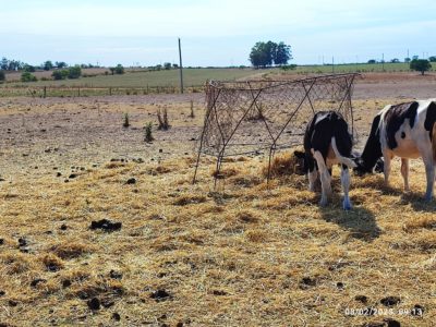 Produtores Familiares recibieron alimentos para animales