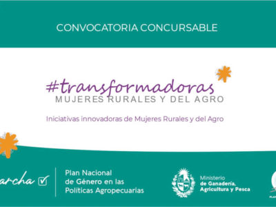 Convocatoria concursable