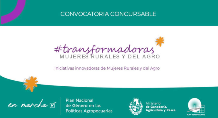 Convocatoria concursable