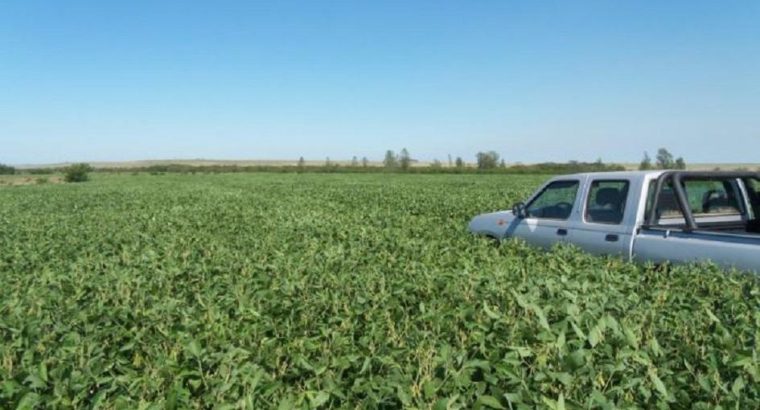 DGSA advierte sobre el uso de Paraquat en soja