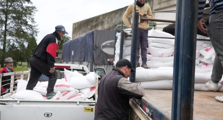 Continúa distribución de  ración a 2500 pequeños productores