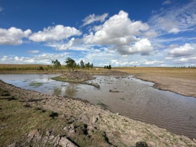 Declaración de emergencia agropecuaria se extiende  hasta el 31 de diciembre